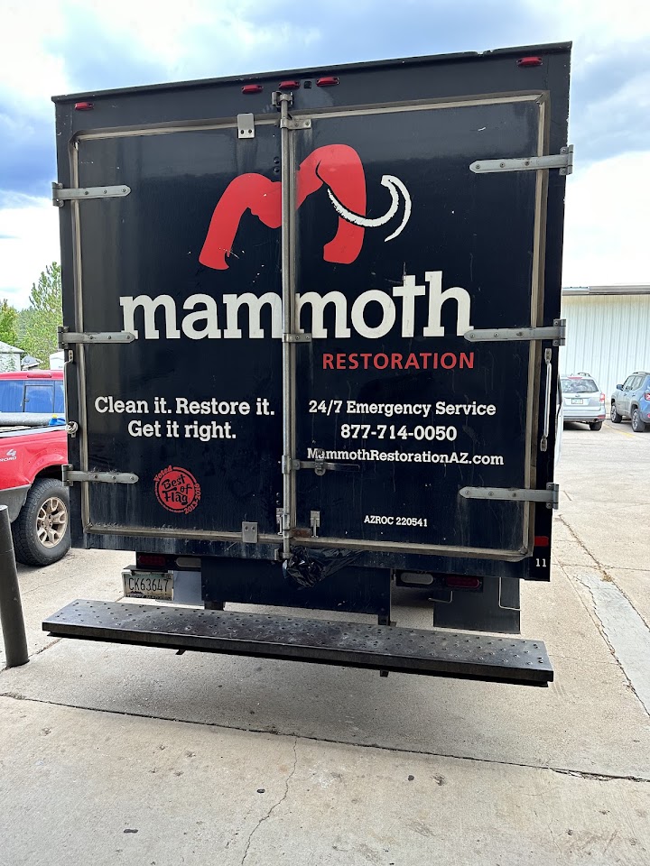 Mammoth Builders project