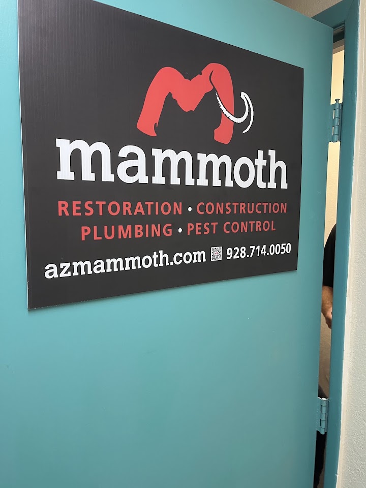 Mammoth Builders project